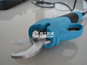 果樹修剪時，電動修枝剪助您一臂之力